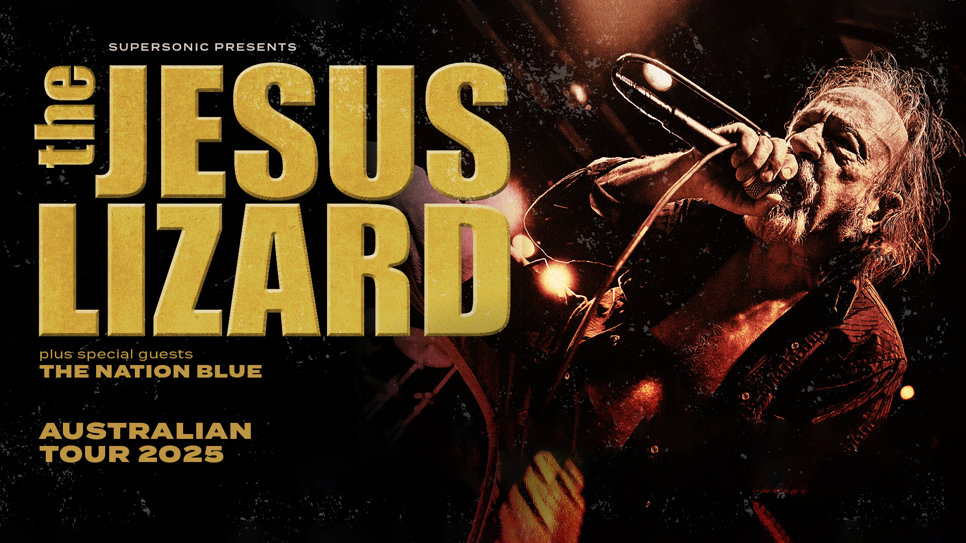 The Jesus Lizard